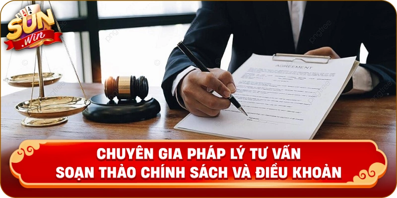 Chuyên gia pháp lý tư vấn soạn thảo chính sách và điều khoản